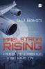 MAELSTROM RISING
