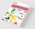 SCIENCE PANORAMA Teacher's Manual  6 (Physics Chemistry & Biology)