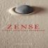 ZENSE For An Evolved Leadership