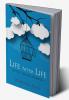 Life After Life - Lifting the Veil on Death
