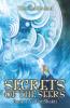 Secrets Of The Seers : Book : 1 Veil Of Shakti