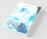 Secrets Of The Seers : Book : 1 Veil Of Shakti