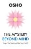 The Mystery Beyond Mind PB English