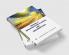 Organic IT Infrastructure Planning and Implementation