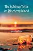 The Bobbsey Twins On Blueberry Island