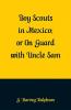 Boy Scouts in Mexico