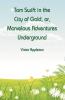 Tom Swift in the City of Gold or Marvelous Adventures Underground