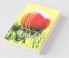 Rule Book Of Games : Cricket