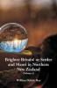 Brighter Britain! or Settler and Maori in Northern New Zealand (Volume I)