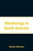 Wanderings in South America