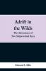 Adrift in the Wilds