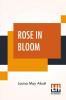 Rose In Bloom