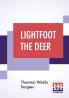 Lightfoot The Deer