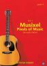 Musixel- Pixels of Music (Acoustic Guitar)-Level 3