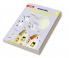 Revised Expeditions Teacher's Manual 3