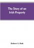 The story of an Irish property