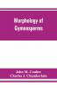 Morphology Of Gymnosperms