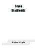 Hevea brasiliensis; or Para rubber its botany cultivation chemistry and disease