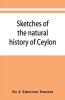 Sketches of the natural history of Ceylon; with narratives and anecdotes illustrative of the habits and instincts of the mammalia birds reptiles fishes insects &c. including a monograph of the elephant and a Decription of the modes of capturing and t