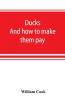 Ducks