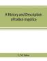 A history and description of Italian majolica