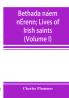 Bethada Náem Nérenn = Lives Of Irish Saints; Volume 1