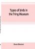 Types of birds in the Tring Museum