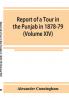 Report of a Tour in the Punjab in 1878-79 (Volume XIV)