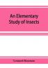 An Elementary Study of Insects