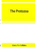 The Protozoa