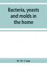 Bacteria yeasts and molds in the home