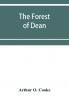 The Forest of Dean