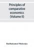 Principles of comparative economics (Volume II)