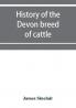 History of the Devon breed of cattle