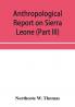 Anthropological report on Sierra Leone (Part III) Timne Grammar and stories