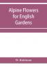 Alpine flowers for English gardens