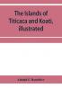 The islands of Titicaca and Koati illustrated