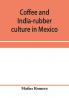 Coffee and india-rubber culture in Mexico; preceded by geographical and statistical notes on Mexico