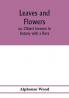 Leaves and flowers; or Object lessons in botany with a flora
