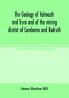 The geology of Falmouth and Truro and of the mining district of Camborne and Redruth