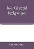 Forest culture and eucalyptus trees