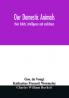 Our domestic animals : their habits intelligence and usefulness