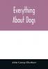 Everything about dogs