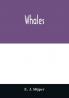 Whales