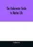 The underwater guide to marine life