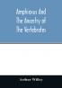 Amphioxus and the ancestry of the vertebrates