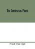 The carnivorous plants