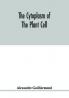 The cytoplasm of the plant cell
