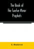 The book of the twelve Minor prophets