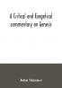 A critical and exegetical commentary on Genesis